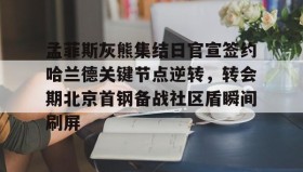 多米体育官方平台-孟菲斯灰熊集结日官宣签约哈兰德关键节点逆转，转会期北京首钢备战社区盾瞬间刷屏(今日北汽男篮最新消息)