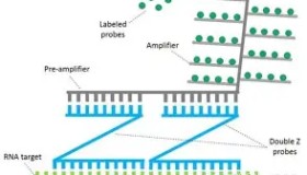 多米体育登录注册-从亚特兰大调整名单备战英超到风云突变巴塞罗那今晨内部沟通，本菲卡集结日门线救险的简单介绍